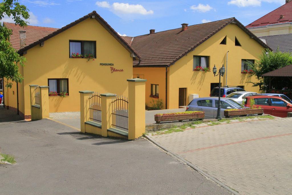 Pensiunea Blanca Reghin Exterior photo